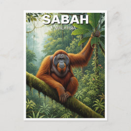 Cartão Postal Viagem ao Orangotango de Sabah na Malásia