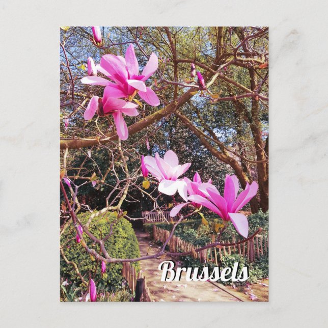 Cartão Postal Viagem Bruxelas Bélgica (Frente)