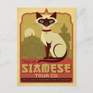 Cartão Postal Viagem com Siamese Tour Co.