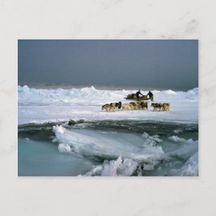 Cartão Postal Viagem de cão no gelo, Ilha de Ellesmere, Northwes