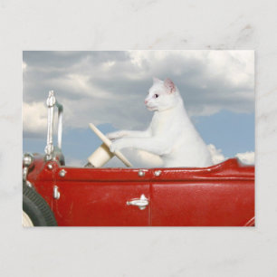 Cartão Postal viagem de domingo