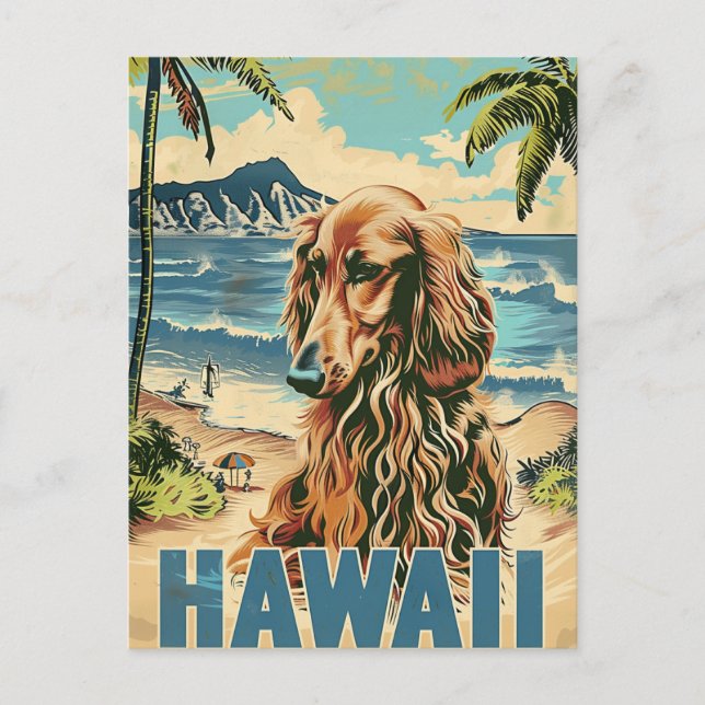 Cartão Postal Viagem de Férias de Hound Hawaii no Afeganistão (Frente)