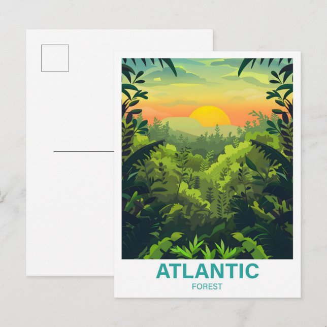 Cartão Postal Viagem de Ilustração da Floresta Atlântica (Frente/Verso)