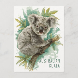 Cartão Postal Viagem de Koala Australiano Vintage
