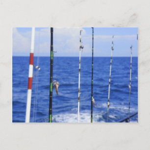 Cartão Postal Viagem de Pesca