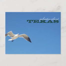 Cartão Postal Viagem de Seagull na Ilha de Galveston