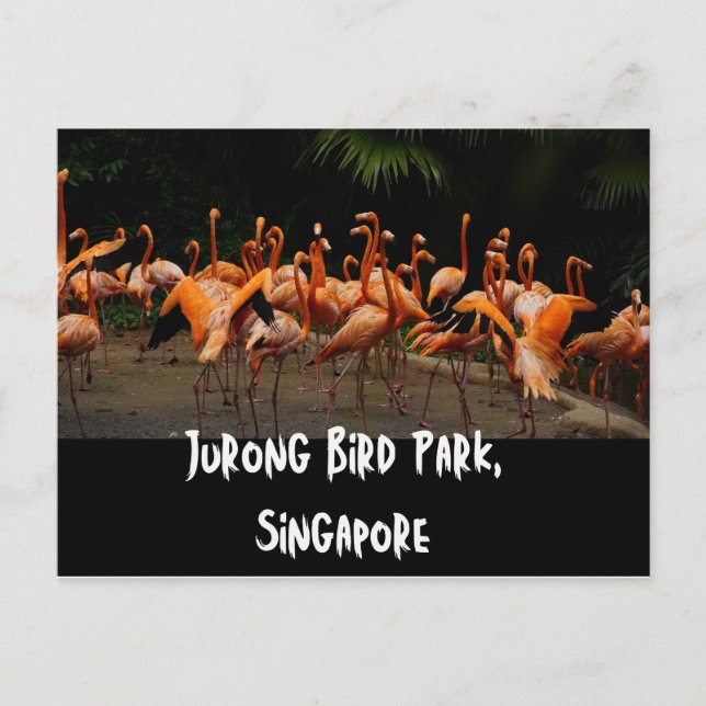 Cartão postal Viagem de Singapura (Frente)