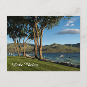 Cartão Postal Viagem do Lago Chelan Washington State Boat & Tree