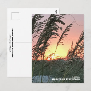 Cartão Postal Viagem   Flórida - Anastasia Sea Oat Sunset