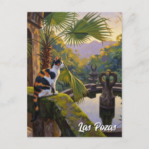 Cartão Postal Viagem Las Pozas Mexico