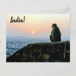 Cartão Postal Viagem Meditação Pacífica Macaco Índia Sunset