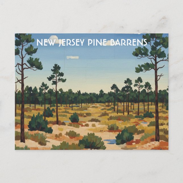 Cartão Postal Viagem para Pine Barrens Nova Jersey (Frente)