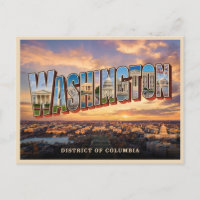 Viagem para Washington Dc
