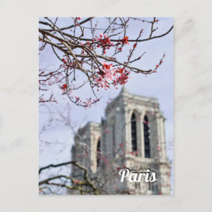 Cartão Postal Viagem Paris França