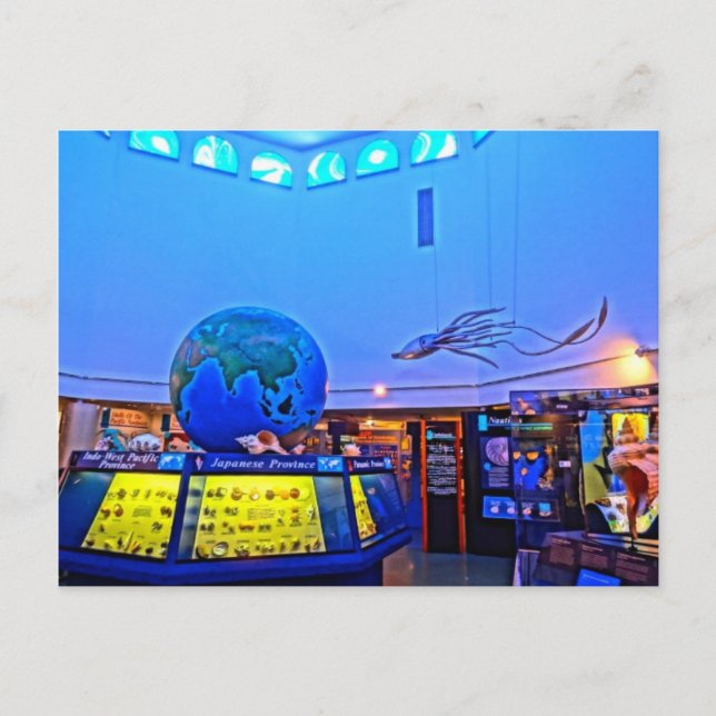 Cartão Postal Viagem Photoics Sanibel Island Shelds da Flórida (Frente)