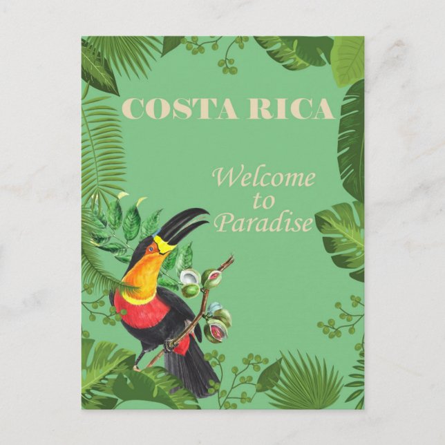 Cartão Postal Viagem Toucan Costa Rica Vintage (Frente)