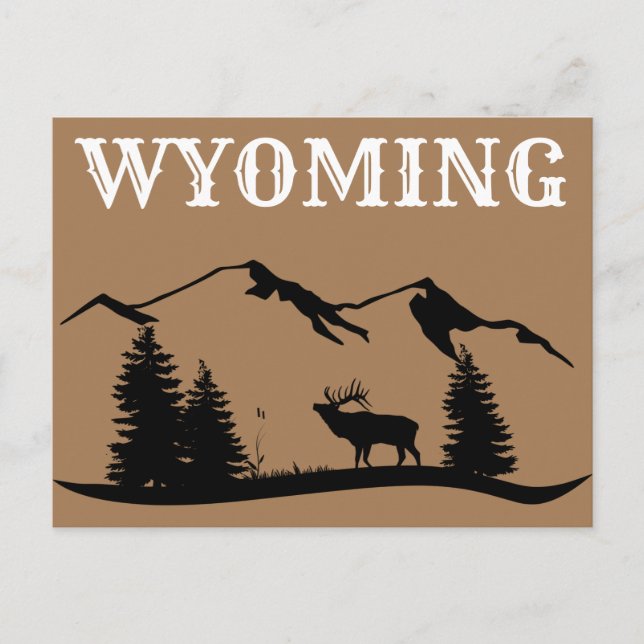Cartão postal Viagem Wyoming (Frente)