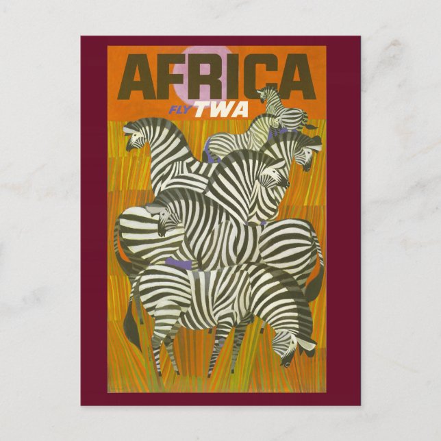 Cartão postal Viagem Zebra africano Vintage (Frente)