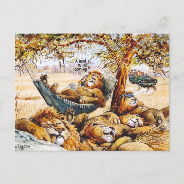 Cartão Postal Viagens de notícias rapidamente (Frente)