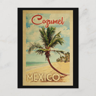 Cartão Postal Viagens vintage da Árvore Palm Postcard Cozumel