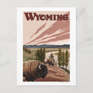 Cartão Postal Viagens vintage de Bison River Yellowstone