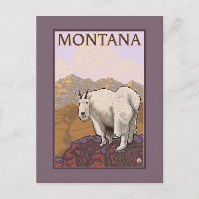 Cartão Postal Viagens vintage de MontanaMountain Goat (Frente)