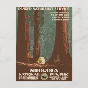 Cartão Postal Viagens vintage do Parque Nacional Sequoia