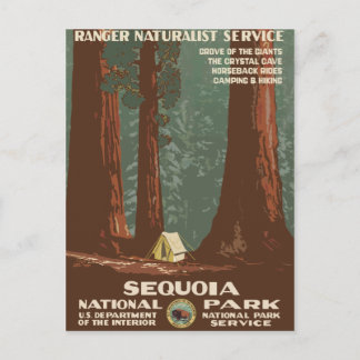 Cartão Postal Viagens vintage do Parque Nacional Sequoia