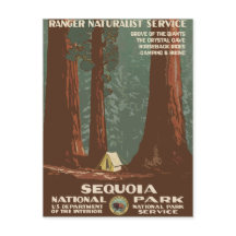 Viagens vintage do Parque Nacional Sequoia