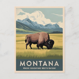 Cartão Postal Viagens vintage Montana Bison Wildlife Retro Scens
