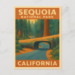 Cartão Postal Viagens vintage Sequoia National Park Califórnia