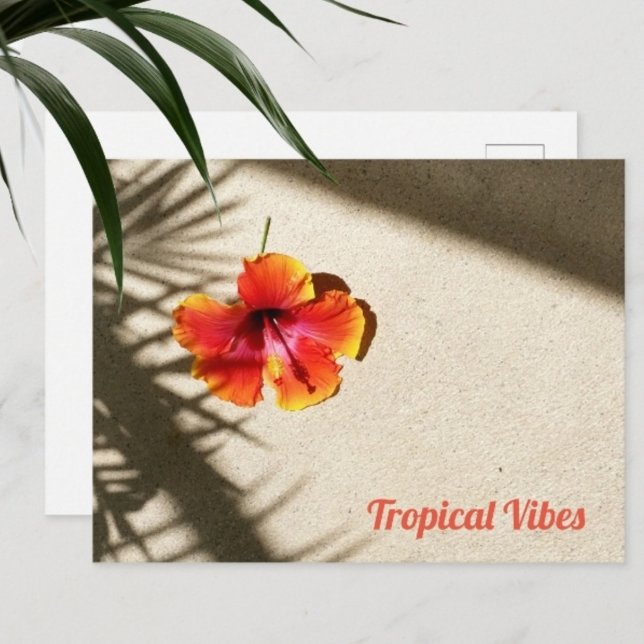 Cartão Postal Vibes tropicais Hibiscus (Criador carregado)