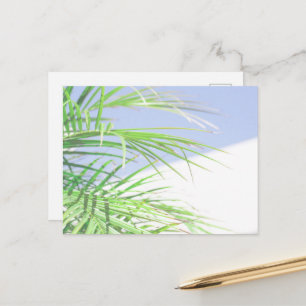 Cartão Postal Vibrações de Verão Folhas de Palmeira Verde Pálido