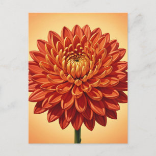 Cartão Postal Vibrante Flor de Crisântemo Vermelho Laranja Botân