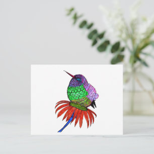 Cartão Postal Vibrante Fluffy Baby Hummingbird