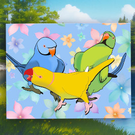 Cartão Postal Vibrante Periquito Indiano de Anel Aves de Estimaç