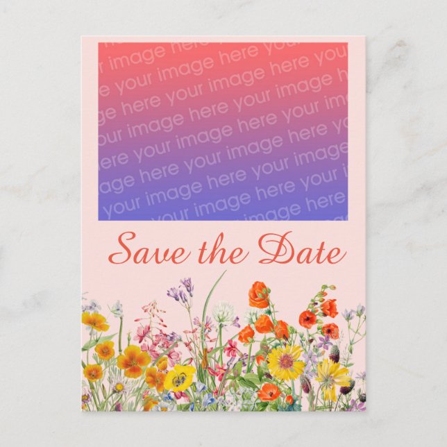 Cartão Postal Vibrantes Flores Silvestres   (Frente)