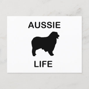 Cartão Postal vida aussiana de pastor australiano