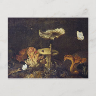 Cartão Postal Vida contínua com Cogumelos e Borboletas