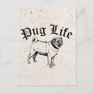 Cartão Postal Vida De Pug Cão Gangster Engraçado