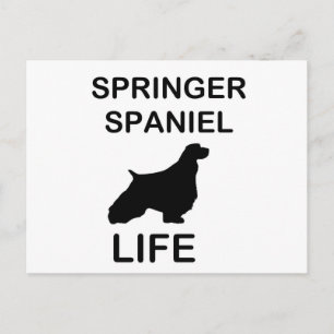 Cartão Postal Vida do silo Springer Spaniel