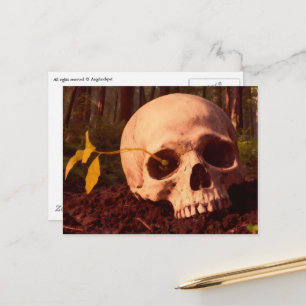 Cartão Postal Vida e Morte