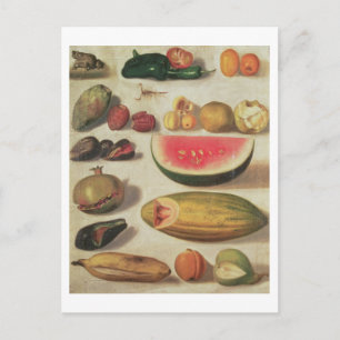 Cartão Postal Vida estática com Fruta e sapo