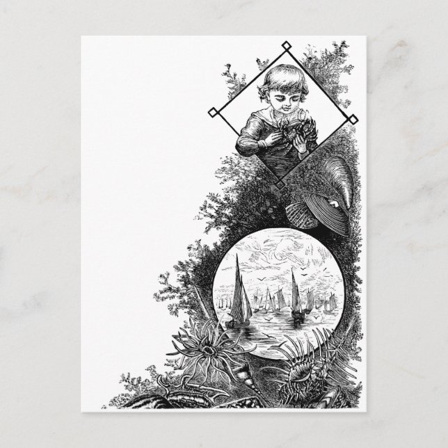 Cartão Postal Vida marítima e menino vitoriano com caranguejo (Frente)