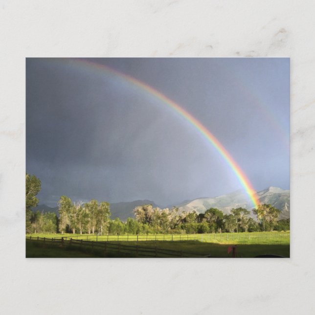 Cartão Postal Vida no Ranch Blackman (Frente)