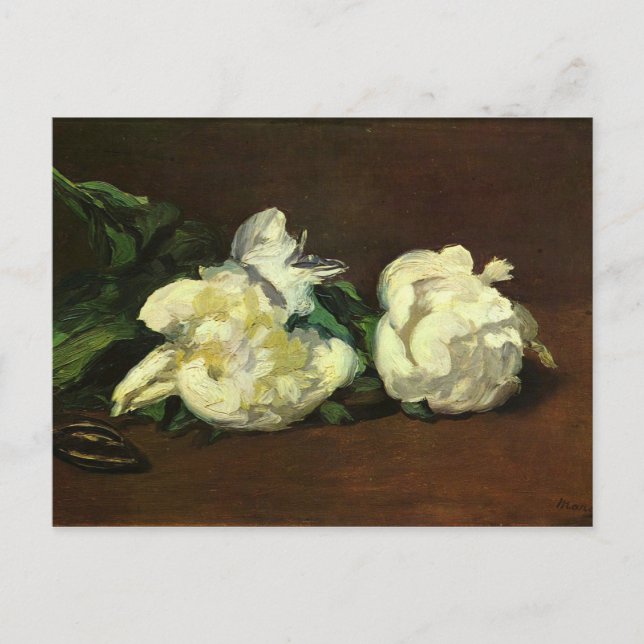Cartão Postal Vida permanente, Branca Peony de Edouard Manet (Frente)