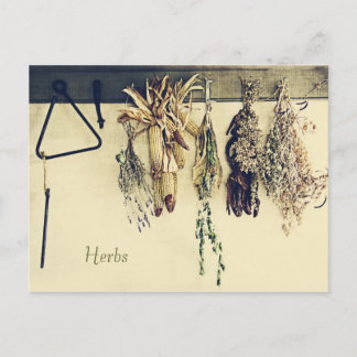 Cartão Postal Vida rústica secada do país das ervas ainda
