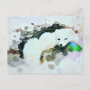 Cartão Postal *~* Vida Selvagem AP18 Snow White Arctic Raposa Po