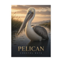 Vida Selvagem Baías Costeiras Pelicano ANIMAL