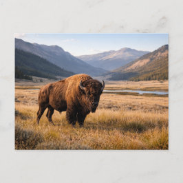 Cartão Postal Vida Selvagem Búfalo Americano Paisagem Montanhosa